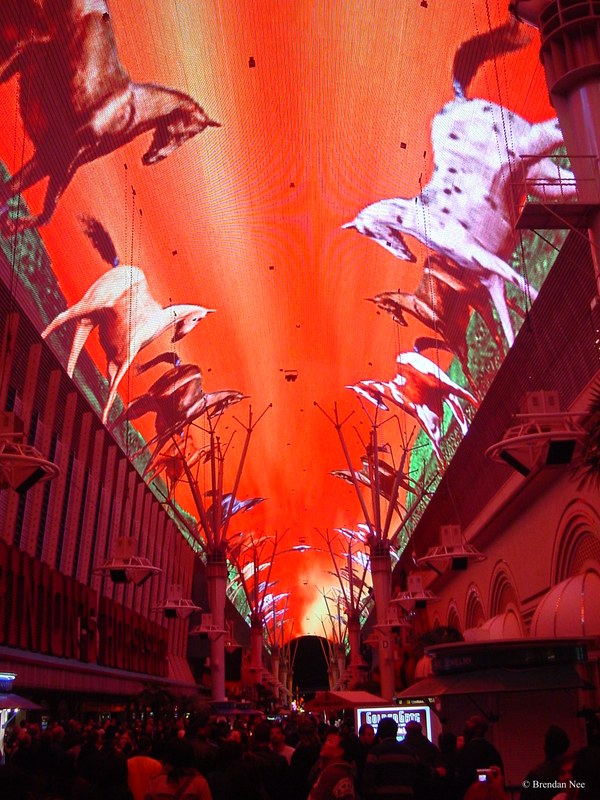 Fremont Street - Las Vegas 1-05 025